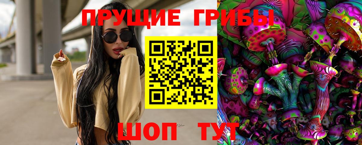 Фролово  Галлюциногенные грибы ЛСД  Вход с VPN 
